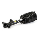 Arnott Industries Air Suspension Strut AS-3895 - view 3