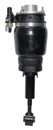 Westar Air Suspension Strut AS-7314 - view 2