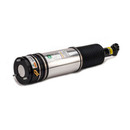 Arnott Industries Air Suspension Strut AS-2980 - view 4