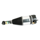 Arnott Industries Air Suspension Strut AS-3801