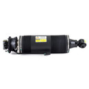 Arnott Industries Suspension Strut SK-2420