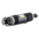 Arnott Industries Suspension Strut SK-2420 - view 3