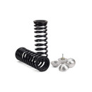 Arnott Industries Air Spring to Coil Spring Conversion Kit C-2989 - view 3
