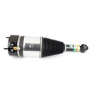 Arnott Industries Air Suspension Strut AS-3800 - view 2