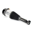 Arnott Industries Air Suspension Strut AS-3800 - view 3