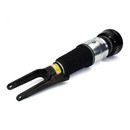 Arnott Industries Air Suspension Strut ASE-4028 - view 4