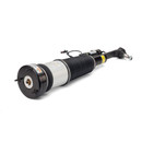 Arnott Industries Air Suspension Strut AS-2853 - view 3