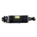 Arnott Industries Suspension Strut SK-2419