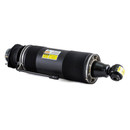 Arnott Industries Suspension Strut SK-2419 - view 4