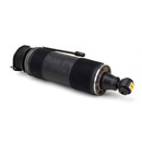 Arnott Industries Suspension Strut SK-2484 - view 2