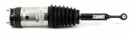 Arnott Industries Air Suspension Strut AS-3752