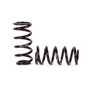 Arnott Industries Air Spring to Coil Spring Conversion Kit C-2663 - view 4