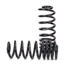 Arnott Industries Air Spring to Coil Spring Conversion Kit C-2987 - view 2