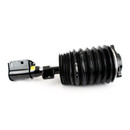 Arnott Industries Air Suspension Strut AS-3898