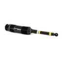 Arnott Industries Suspension Strut SK-2460 - view 4