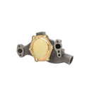 Dayco Engine Water Pump DP819 - view 2