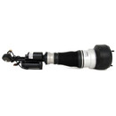 Arnott Industries Air Suspension Strut AS-2548