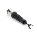Arnott Industries Air Suspension Strut AS-2562 - view 3