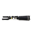 Arnott Industries Air Suspension Strut AS-2833