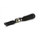 Arnott Industries Air Suspension Strut AS-2833 - view 2
