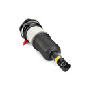 Arnott Industries Air Suspension Strut AS-3073 - view 3