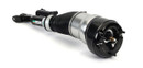 Arnott Industries Air Suspension Strut AS-3161 - view 3