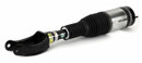 Arnott Industries Air Suspension Strut AS-3411 - view 2