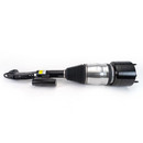 Arnott Industries Air Suspension Strut AS-3523 - view 3