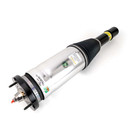 Arnott Industries Air Suspension Strut AS-3608 - view 5