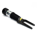 Arnott Industries Air Suspension Strut ASE-4027 - view 4