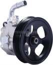 TERREPOWER formerly BBB Industries Power Steering Pump N990-0822