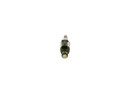 Bosch Fuel Injector 62843