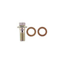 Carlson Brake Hydraulic Banjo Bolt H9449-2