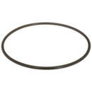 Delphi Fuel Pump Tank Seal FA10036