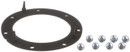 Delphi Fuel Pump Tank Seal FA10038 - view 5