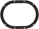 Delphi Fuel Pump Tank Seal FA10039 - view 5