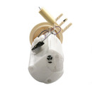 Delphi Fuel Pump Module Assembly FG0096 - view 5