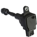 Delphi Ignition Coil GN10250