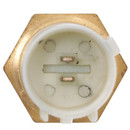 Delphi Air Charge Temperature Sensor TS10535 - view 3