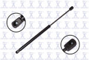 Focus Auto Parts Back Glass Lift Support 84184