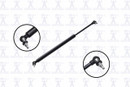 Focus Auto Parts Liftgate Lift Support 84699
