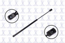Focus Auto Parts Back Glass Lift Support 86253