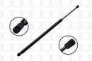 Focus Auto Parts Liftgate Lift Support 86681