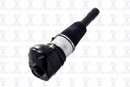 Focus Auto Parts Air Suspension Strut 92007 - view 3