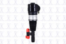 Focus Auto Parts Air Suspension Strut 92007 - view 4