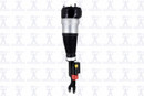 Focus Auto Parts Air Suspension Strut 92044 - view 4