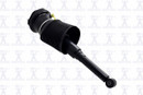Focus Auto Parts Air Suspension Strut 93005 - view 4