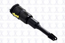 Focus Auto Parts Air Suspension Strut 93012 - view 4