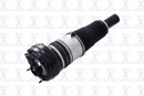 Focus Auto Parts Air Suspension Strut 99010 - view 2