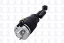 Focus Auto Parts Air Suspension Strut 99031 - view 3